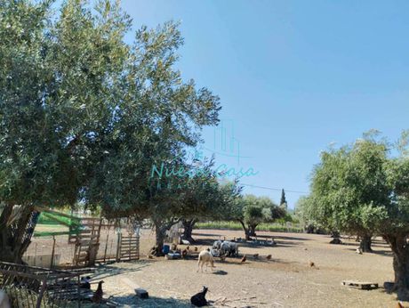 Αγροτεμάχια 15.000τ.μ. για πώληση-Παραλία » Χαντζηλιάκο
