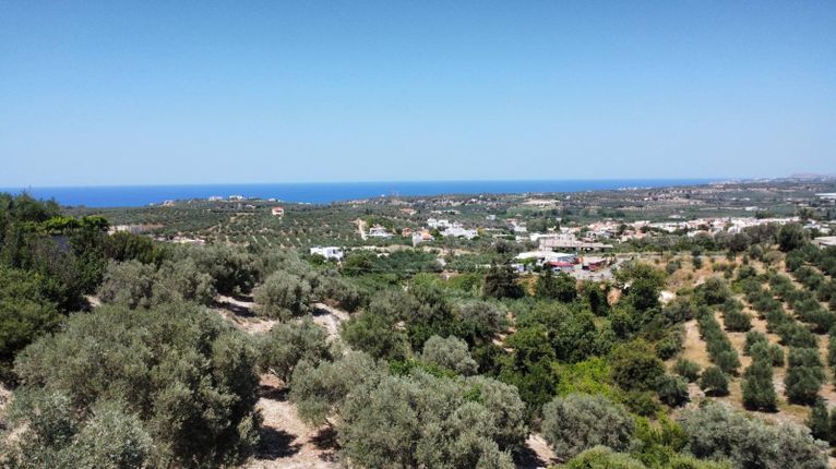 Αγροτεμάχια 4.042 τ.μ. για πώληση, Ν. Ρεθύμνου, Ρέθυμνο