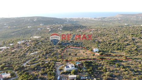Αγροτεμάχια 8.433τ.μ. για πώληση-Βραχάσι