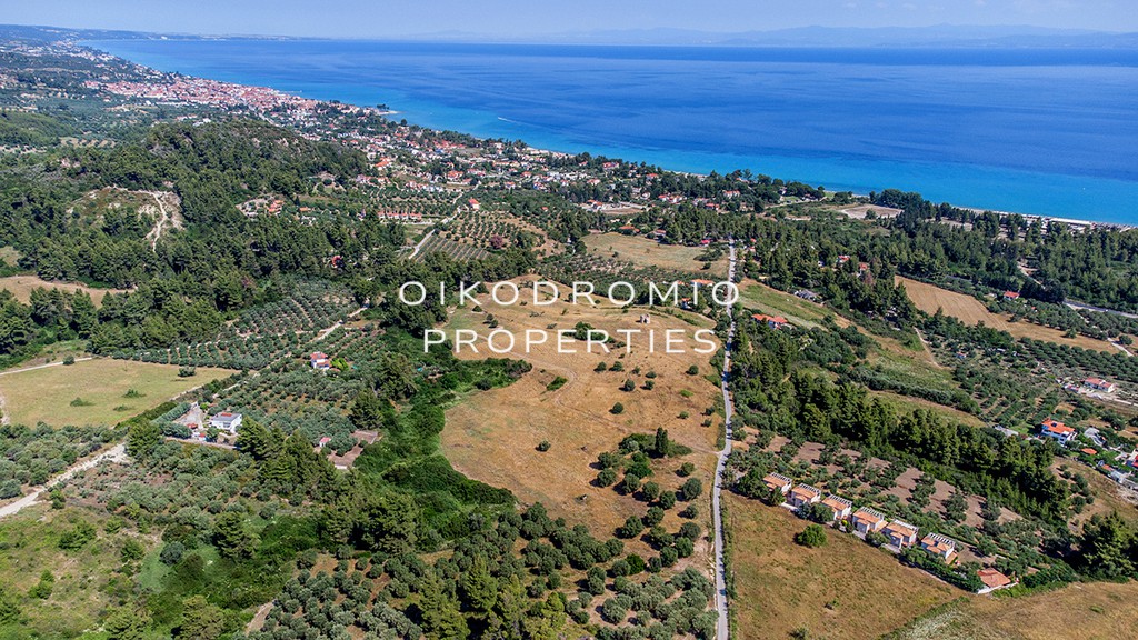 Αγροτεμάχια 15.000 τ.μ. προς πώληση, Πευκοχώρι