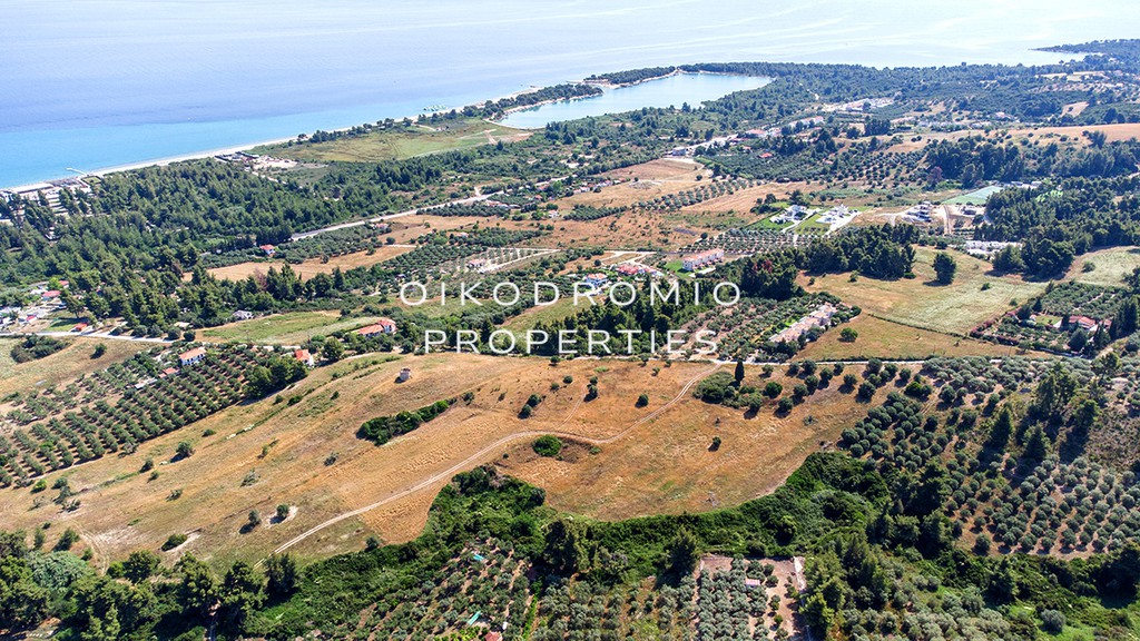 Αγροτεμάχια 15.000 τ.μ. προς πώληση, Πευκοχώρι