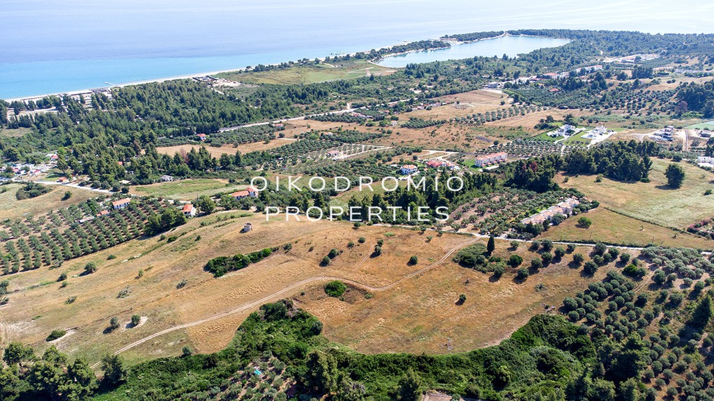 Αγροτεμάχια 15.000 τ.μ. προς πώληση, Πευκοχώρι