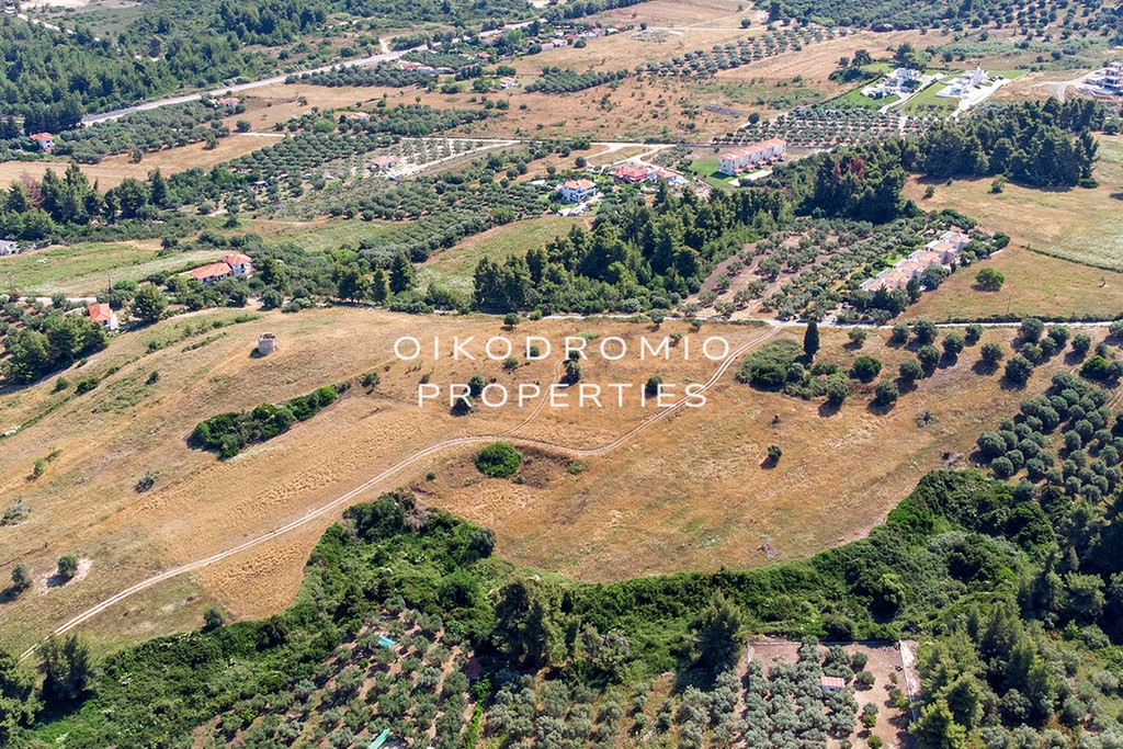 Αγροτεμάχια 15.000 τ.μ. προς πώληση, Πευκοχώρι
