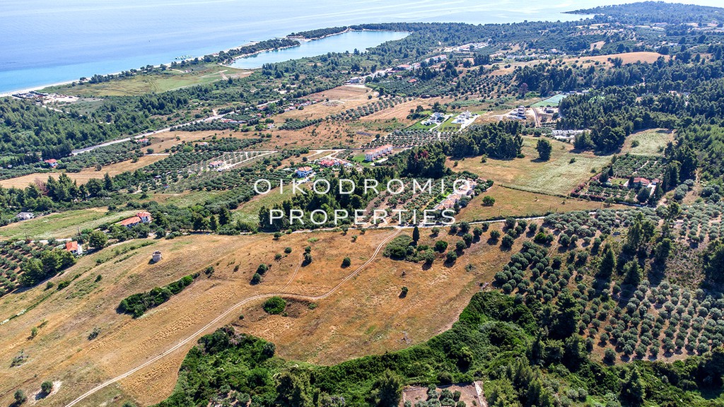 Αγροτεμάχια 15.000 τ.μ. προς πώληση, Πευκοχώρι