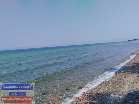 Αγροτεμάχια 4.000τ.μ. για πώληση-Θάσος