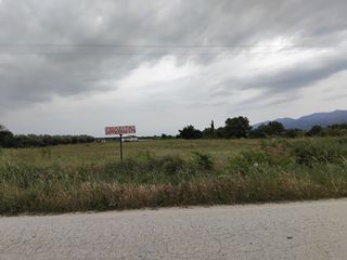 Γη 7.000 τ.μ. πρός πώληση, Ν. Ροδόπης, Κομοτηνή-thumb-2