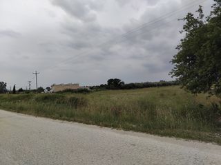 Γη 7.000 τ.μ. πρός πώληση, Ν. Ροδόπης, Κομοτηνή-thumb-5