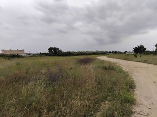 Γη 7.000 τ.μ. πρός πώληση, Ν. Ροδόπης, Κομοτηνή-thumb-6