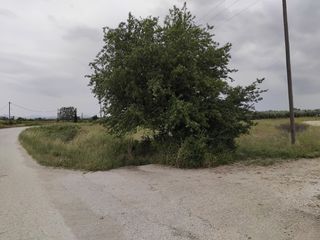 Γη 7.000 τ.μ. πρός πώληση, Ν. Ροδόπης, Κομοτηνή-thumb-7