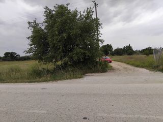 Γη 7.000 τ.μ. πρός πώληση, Ν. Ροδόπης, Κομοτηνή-thumb-10