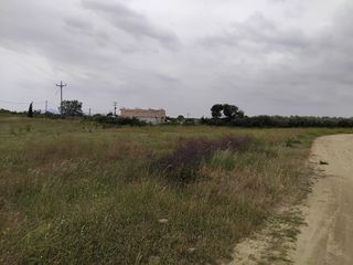 Γη 7.000 τ.μ. πρός πώληση, Ν. Ροδόπης, Κομοτηνή-thumb-12