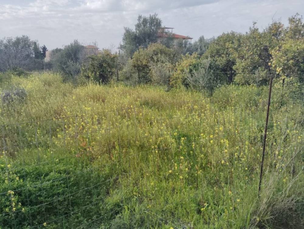 Οικόπεδο 427 τ.μ. πρός πώληση, Κορινθία, Ξυλόκαστρο