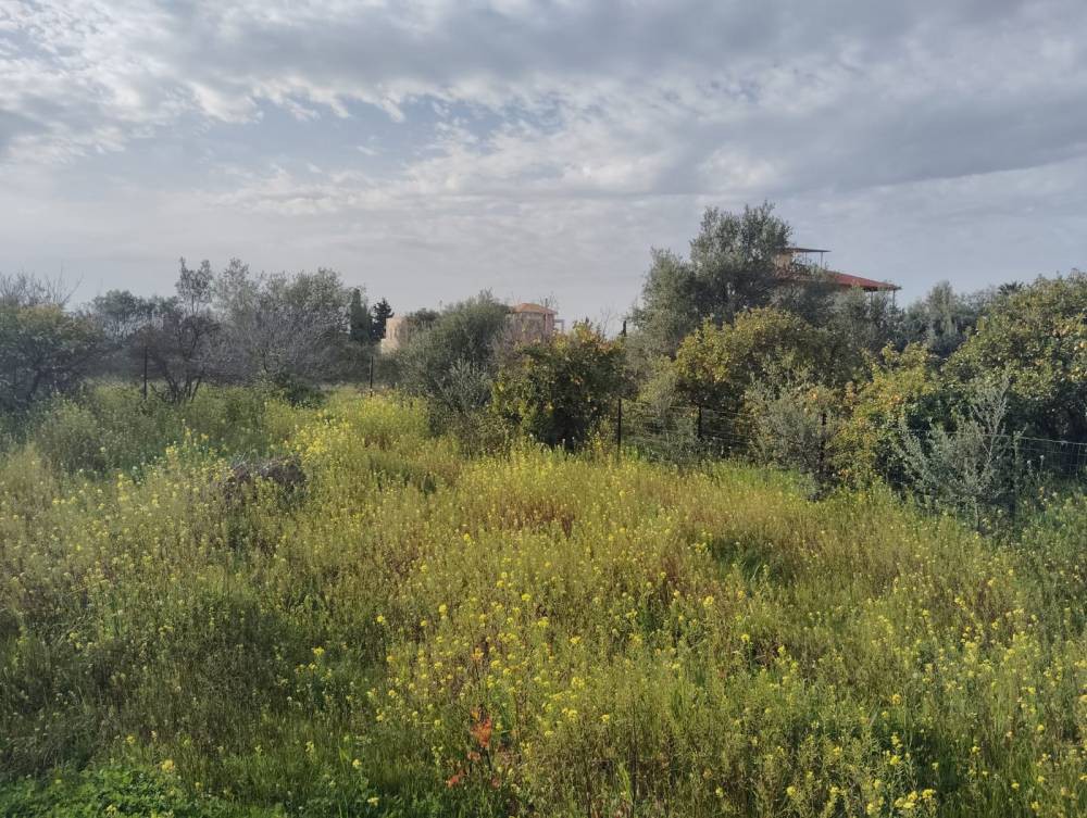 Οικόπεδο 427 τ.μ. πρός πώληση, Κορινθία, Ξυλόκαστρο