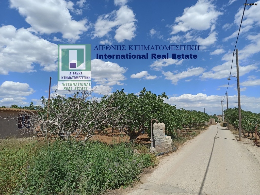 Αγροτεμάχια 6.093 τ.μ. προς πώληση, Αττική - Υπόλοιπο, Μέγαρα
