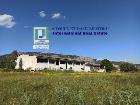 Άλλο 760τ.μ. για πώληση-Μέγαρα » Κέντρο