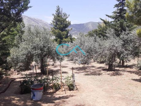 Οικόπεδο 923 τ.μ. για πώληση