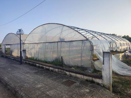 Αγροτεμάχια 450 τ.μ. για πώληση