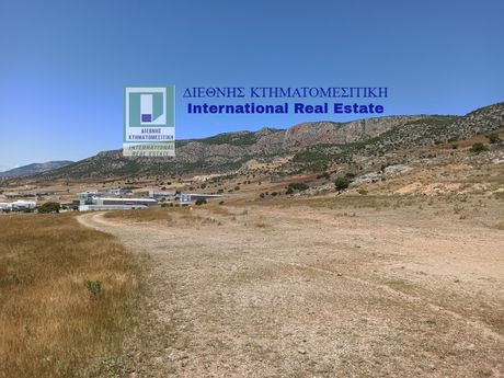 Οικόπεδο 2.462τ.μ. για πώληση-Μέγαρα » Κέντρο