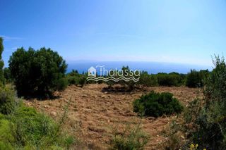Αγροτεμάχια 4.600 τ.μ. για πώληση