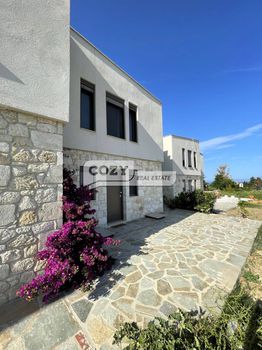 Διαμέρισμα 45τ.μ. για πώληση-Κασσάνδρα » Άφυτος