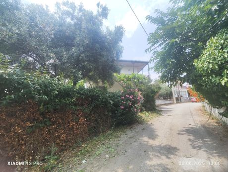 Μονοκατοικία 153τ.μ. για πώληση-Ορφανό » Ποδοχώρι