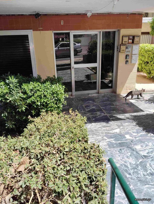 Γραφείο 84 τ.μ. πρός ενοικίαση, Αθήνα - Νότια Προάστια, Παλαιό Φάληρο