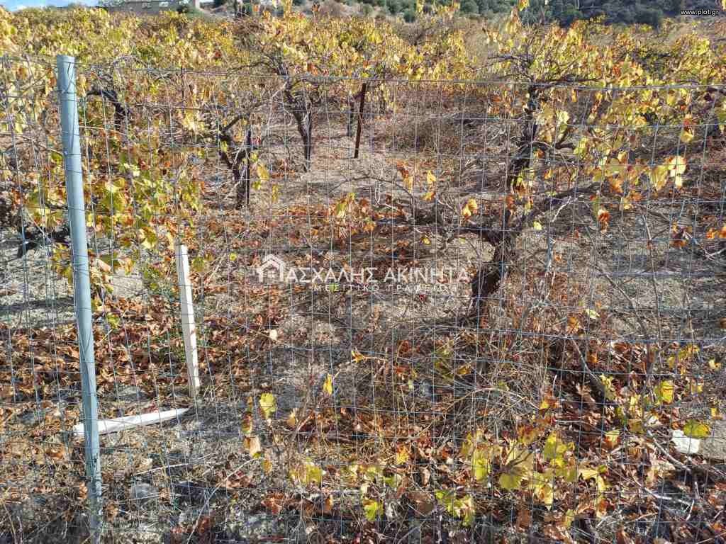 Οικόπεδο 501 τ.μ. πρός πώληση, Ν. Ηρακλείου, Τέμενος