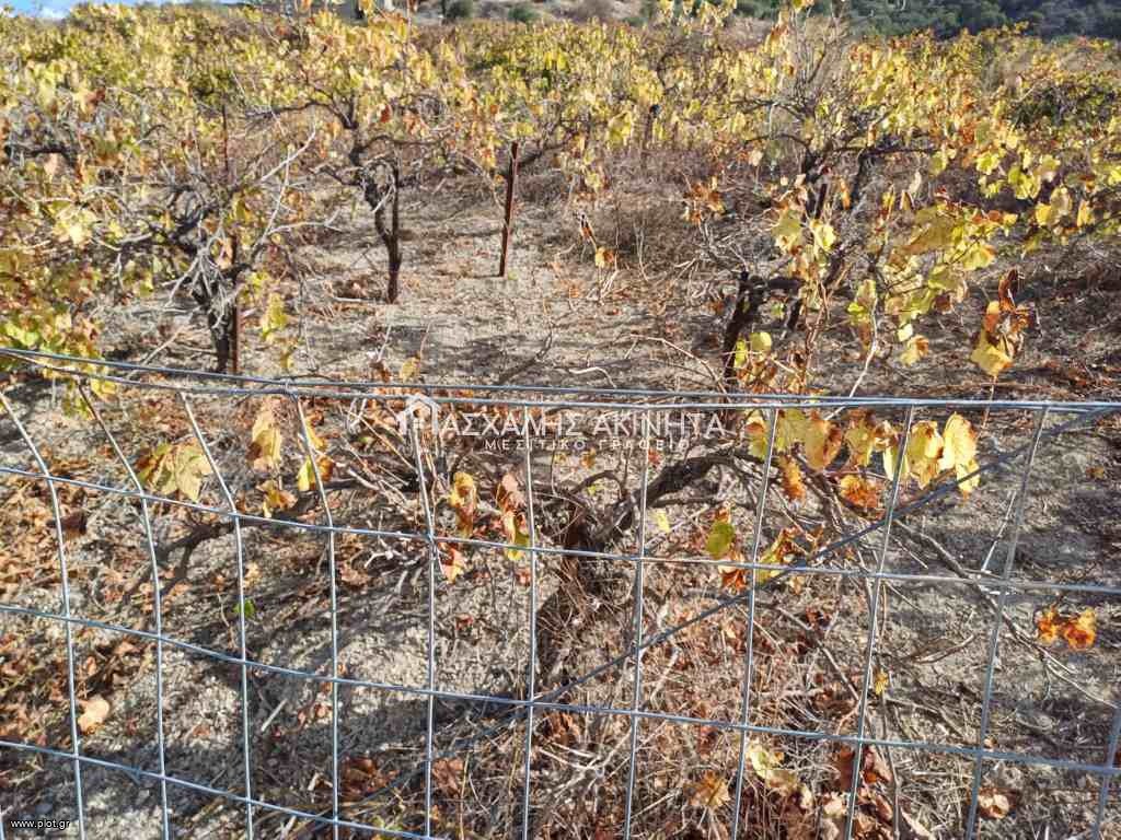 Οικόπεδο 501 τ.μ. πρός πώληση, Ν. Ηρακλείου, Τέμενος