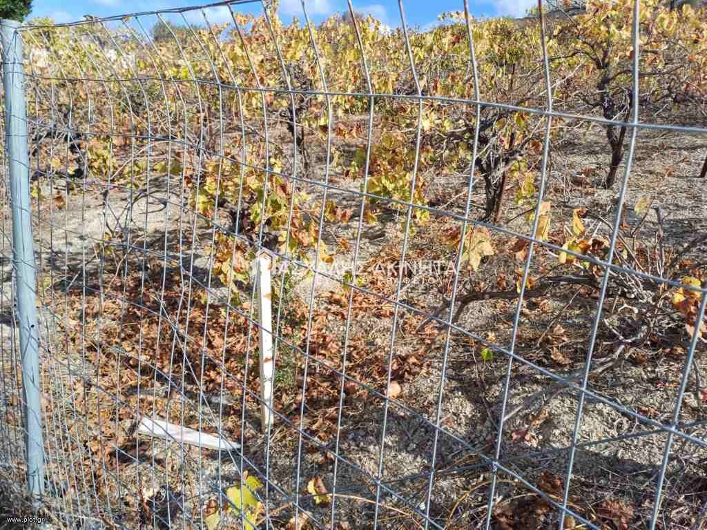 Οικόπεδο 501 τ.μ. πρός πώληση, Ν. Ηρακλείου, Τέμενος