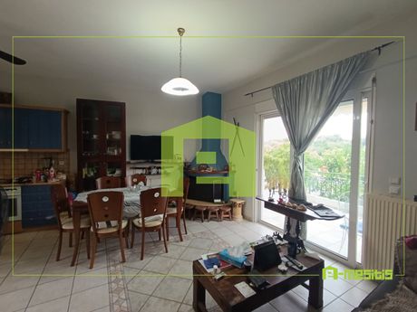 Maisonette 118sqm for sale-Erineo » Mpouka