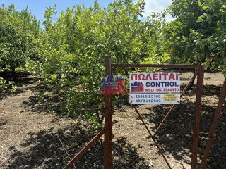 Οικόπεδο 2.000 τ.μ. για πώληση