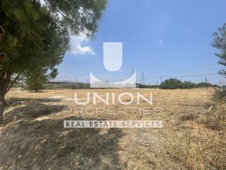 Οικόπεδο 4.349 τ.μ. προς ενοικίαση, Γαργηττός-thumb-8