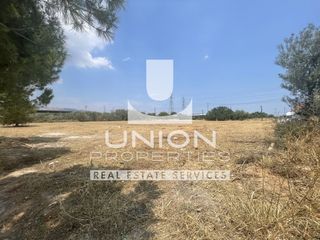 Οικόπεδο 4.349 τ.μ. προς ενοικίαση, Γαργηττός-thumb-7