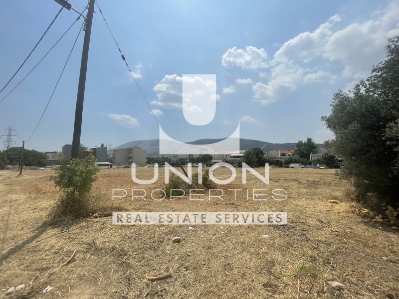 Οικόπεδο 4.349 τ.μ. προς ενοικίαση, Γαργηττός