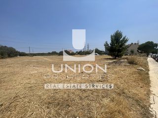 Οικόπεδο 4.349 τ.μ. προς ενοικίαση, Γαργηττός-thumb-11