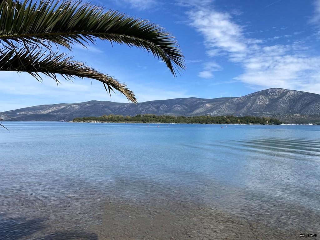 Οικόπεδο 1.006 τ.μ. για πώληση, Αργολίδα, Κρανίδι