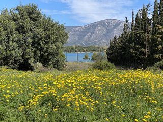 Land plot 1.006 sqm for sale, Argolis, Kranidi-thumb-14