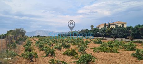 Parcel 10.000sqm for sale-Markopoulo