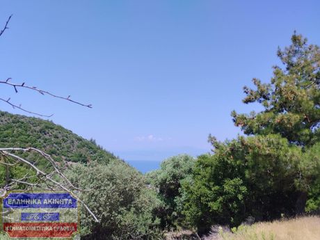 Parcel 5.000sqm for sale-Thasos