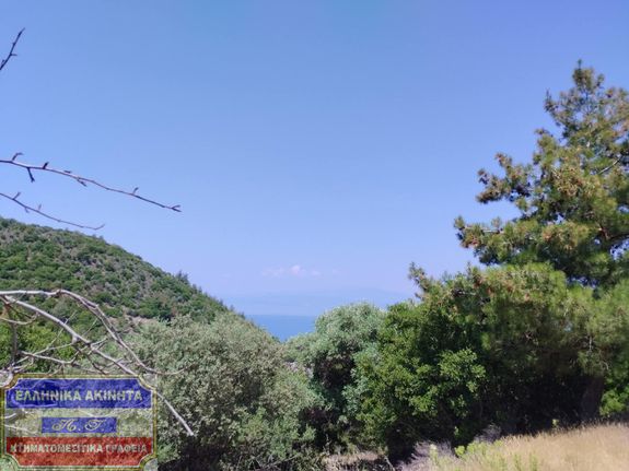 Αγροτεμάχια 10.000 τ.μ. για πώληση, Ν. Καβάλας, Θάσος
