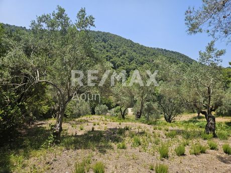 Parcel 5.758sqm for sale-Skiathos » Troullos