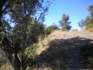 Αγροτεμάχια 9.500 τ.μ. για πώληση, Εύβοια, Αμάρυνθος-thumb-3