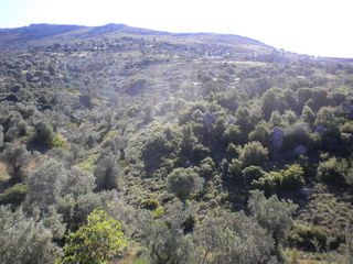 Αγροτεμάχια 9.500 τ.μ. για πώληση, Εύβοια, Αμάρυνθος-thumb-5