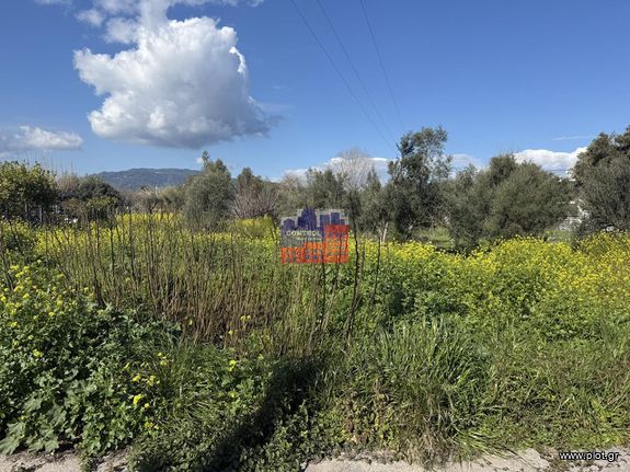 Αγροτεμάχια 758 τ.μ. για πώληση, Αχαΐα, Αιγιάλεια