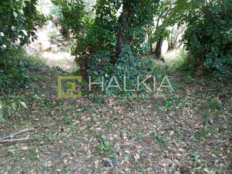 Αγροτεμάχια 708 τ.μ. πρός πώληση, Μαγνησία, Μούρεσι