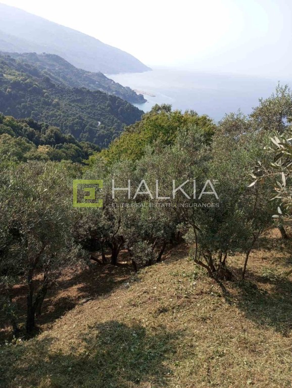 Αγροτεμάχια 708 τ.μ. πρός πώληση, Μαγνησία, Μούρεσι