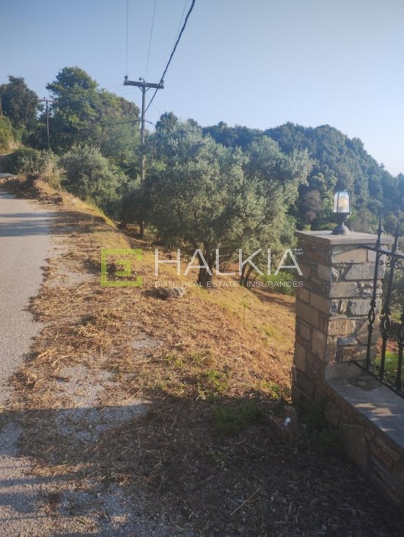 Αγροτεμάχια 1.178 τ.μ. πρός πώληση, Μαγνησία, Μούρεσι