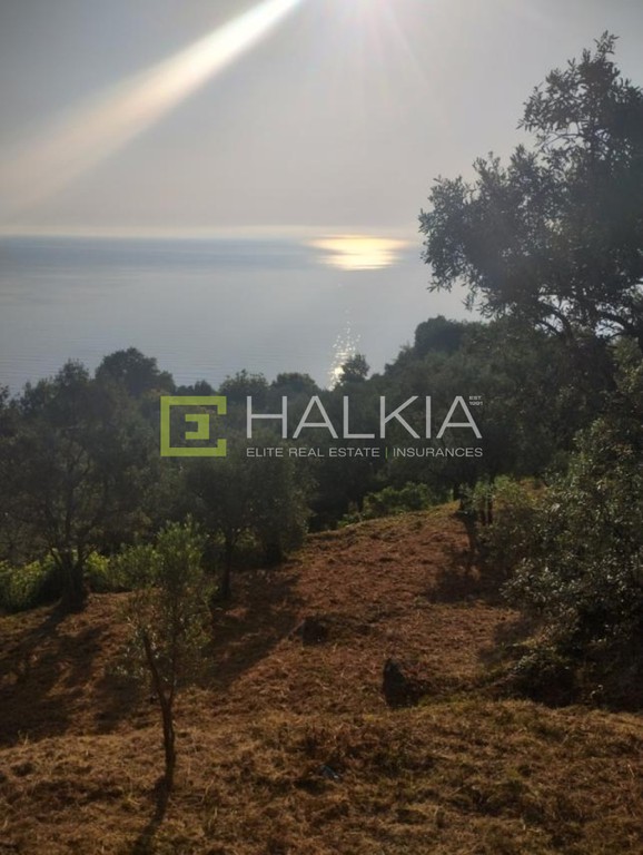 Αγροτεμάχια 1.178 τ.μ. πρός πώληση, Μαγνησία, Μούρεσι