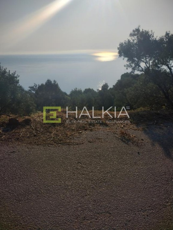 Αγροτεμάχια 1.178 τ.μ. πρός πώληση, Μαγνησία, Μούρεσι