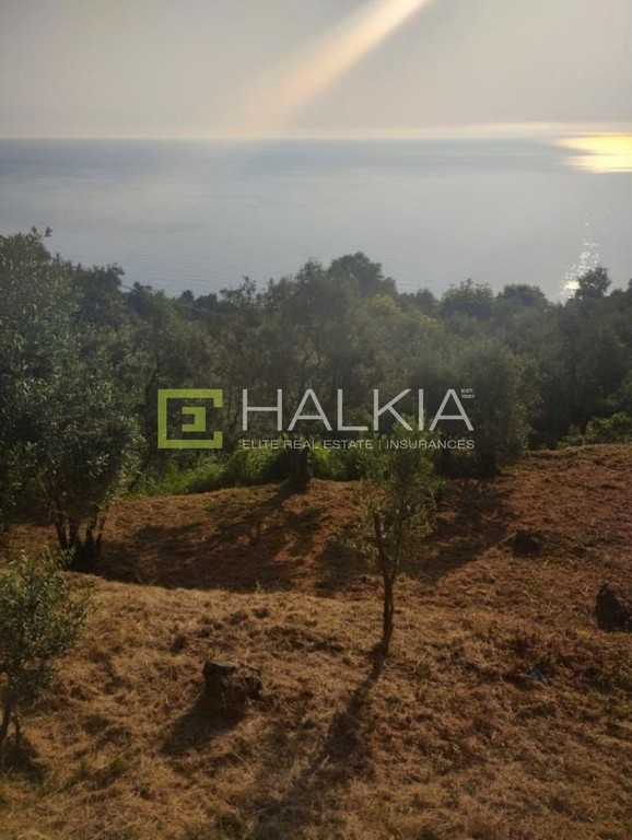 Αγροτεμάχια 1.178 τ.μ. πρός πώληση, Μαγνησία, Μούρεσι